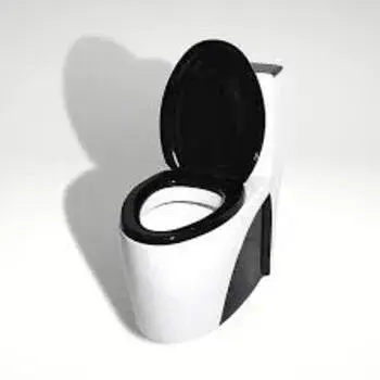 Floor Mounted Toilets