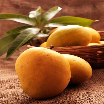 Fresh Mango