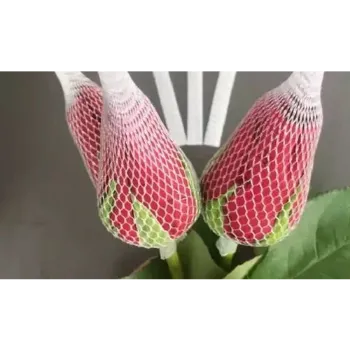 Foam Net