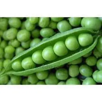 Fresh frozen peas