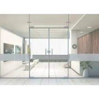 Plain Frameless Glass Doors