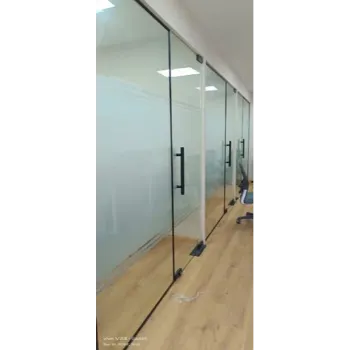 Solid Frameless Glass Doors