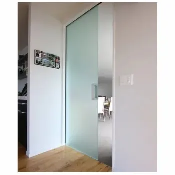 Solid Frameless Glass Doors