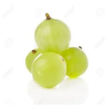 Fresh Amla