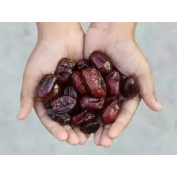 Organic Fresh Dates