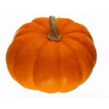 Fresh Pumpkin