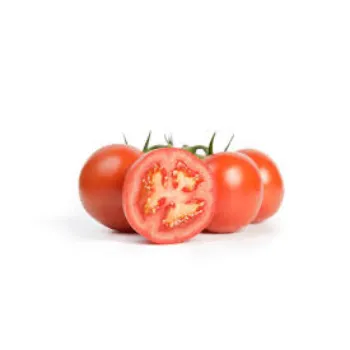 Organic Fresh Tomato
