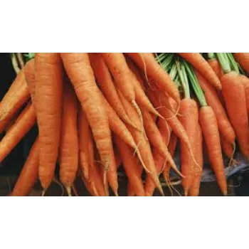 Natural Frozen Carrot