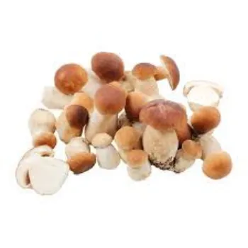 Frozen Mushroom