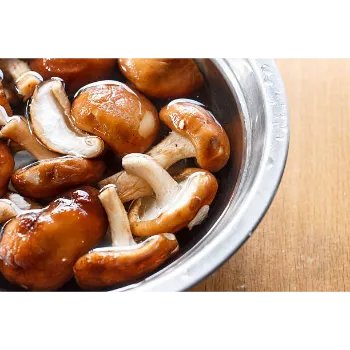 Frozen Mushroom 