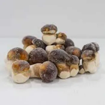 Frozen Mushroom