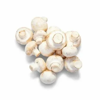 Common Frozen Mushroom
