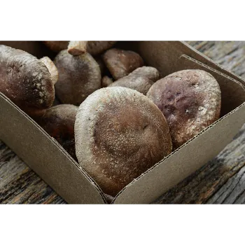 A Grade Frozen Mushroom