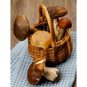 Organic  Frozen Mushroom