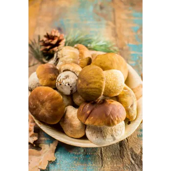 Fresh  Frozen Mushroom