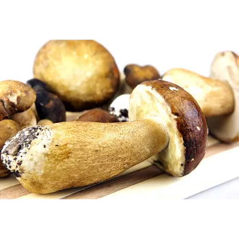 Organic  Frozen Mushroom