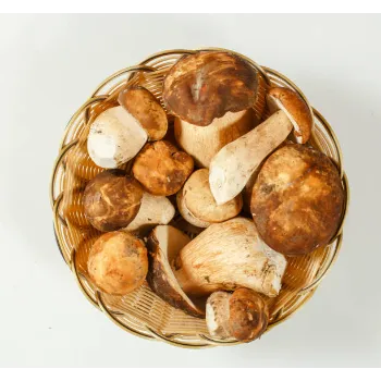 Common Frozen Mushroom