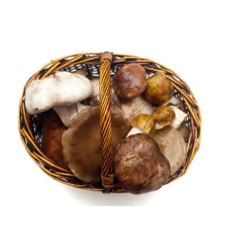 Natural Frozen Mushroom