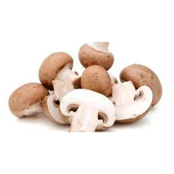 Natural Frozen Mushroom