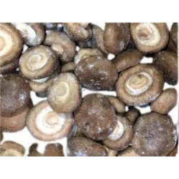 Natural Frozen Mushroom