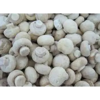 Common Frozen Mushroom