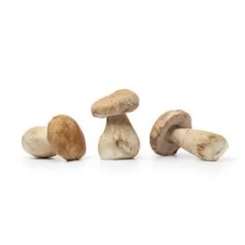 Frozen Mushroom
