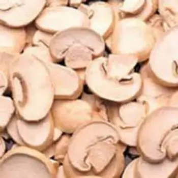 Common Frozen Mushroom