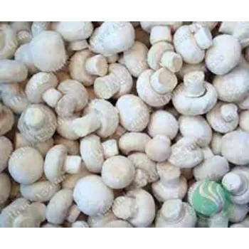 Fresh Frozen Mushroom