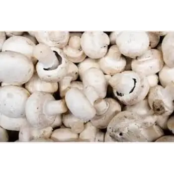 Common Frozen Mushroom