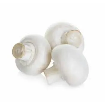 Natural Frozen Mushroom