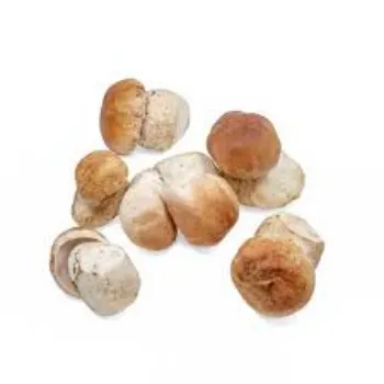 Common Frozen Mushroom