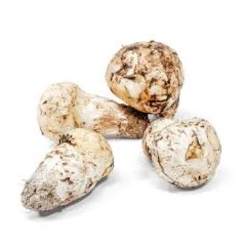 Common Frozen Mushroom