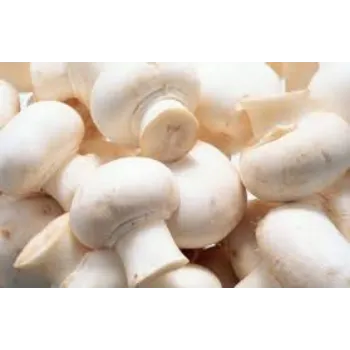 Organic Frozen Mushroom