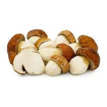 Natural Frozen Mushroom