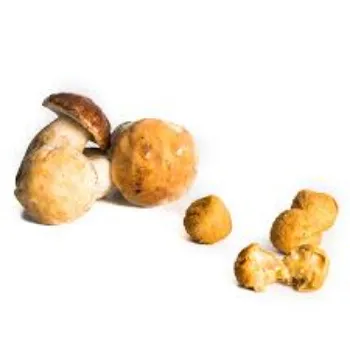 Natural Frozen Mushroom