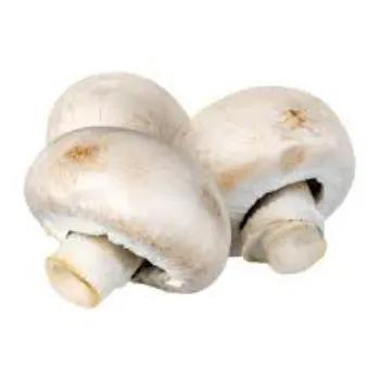 Organic Frozen Mushroom