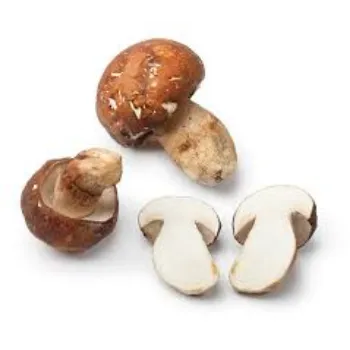 Natural Frozen Mushroom