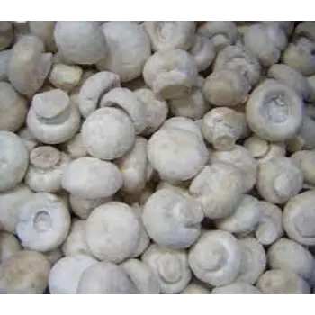 Common Frozen Mushroom