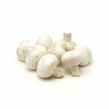 Common Frozen Mushroom