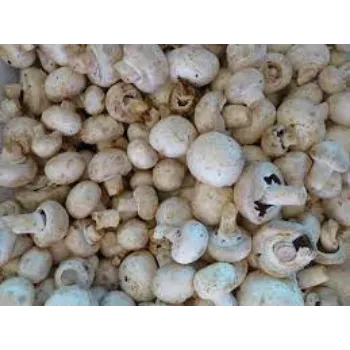 Organic Frozen Mushroom