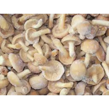 Natural Frozen Mushroom