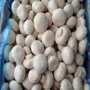 Natural Frozen Mushroom