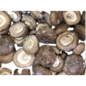 Organic Frozen Mushroom