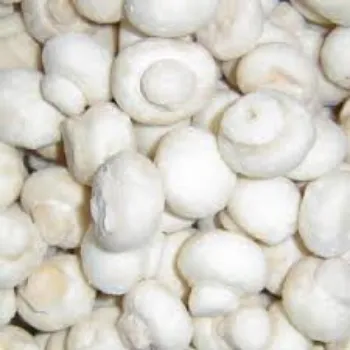 Fresh Frozen Mushroom