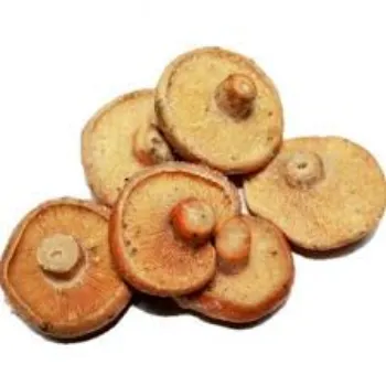 Organic Frozen Mushroom
