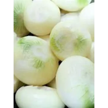 Frozen Onion