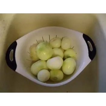 Frozen Onion