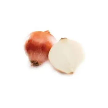 Natural Frozen Onion