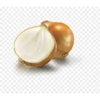 Natural Frozen Onion