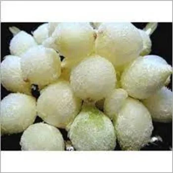 Organic Frozen Onion